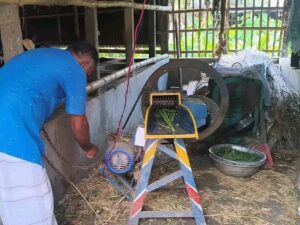 Elderly couple dies from electric shock while operating grass-cutting machine in Jhenaidah