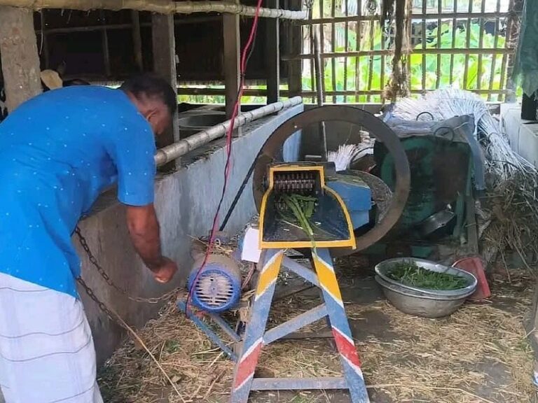 Elderly couple dies from electric shock while operating grass-cutting machine in Jhenaidah