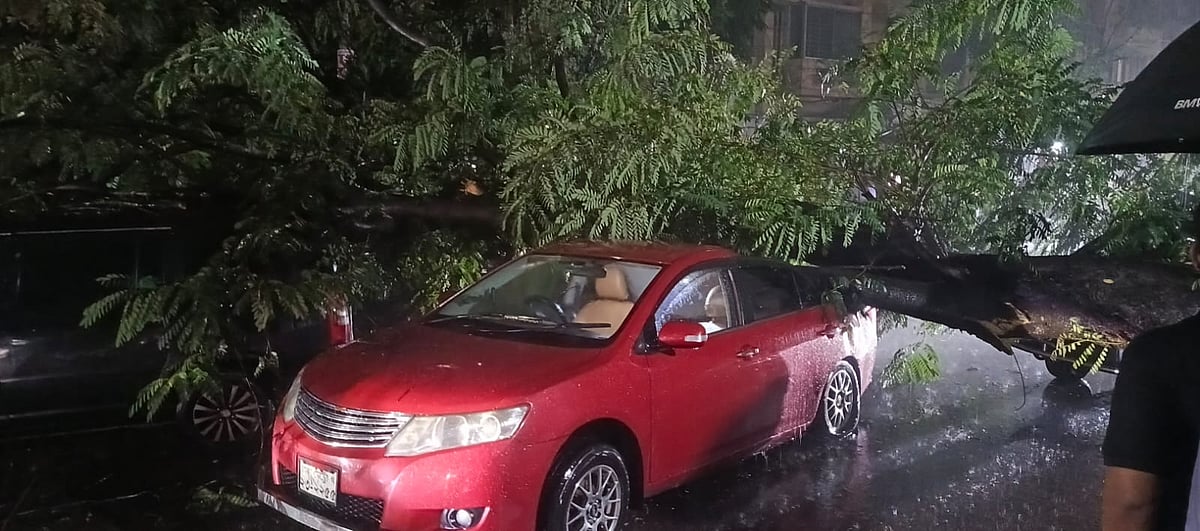 Fallen tree damages three cars in Dhaka Dhanmondi area during heavy rain