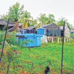 Illegal Construction Surges on St Martin Island as Resorts Defy Environmental Protection Laws