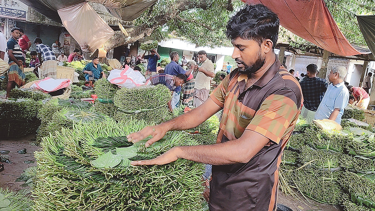 Betel leaf farmers in Rajshahi struggle with rising production costs and low market prices