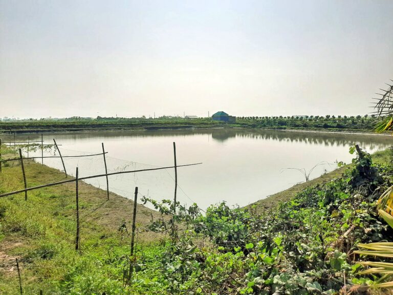 Police launch probe into unauthorized fish sale from seized estate in Chandpur