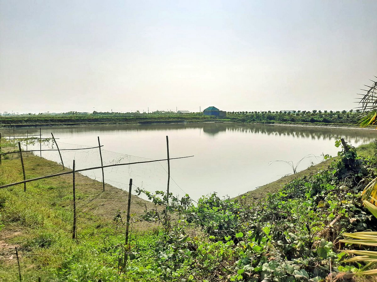 Police launch probe into unauthorized fish sale from seized estate in Chandpur