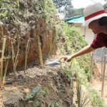 Chittagong City Corporation Revives Vetiver Grass Initiative to Combat Landslides After Years of Stagnation
