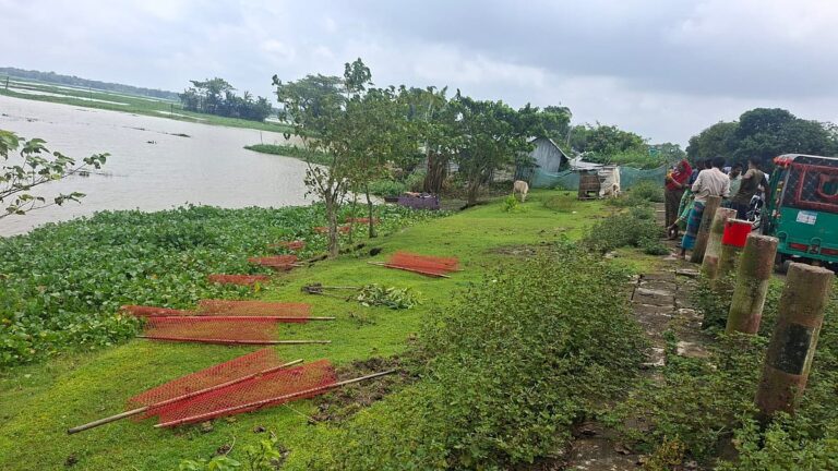 Miscreants Uproot Saplings Planted Under Initiative of Deputy Speaker Kaisar Kamal in Netrokona