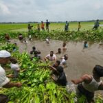 Lawmaker leads community effort to clear canal and resolve long-standing waterlogging in Mymensingh