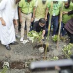 Dhaka North City Corporation to plant 500,000 trees over five years with student support