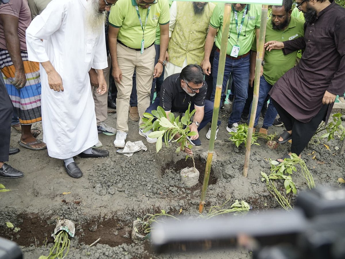 Dhaka North City Corporation to plant 500,000 trees over five years with student support
