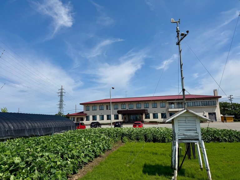 Japan Advances Sustainable Rice Cultivation and Climate Resilient Farming to Ensure Food Security