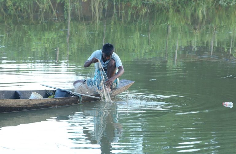 Fishing resumes in Kaptai Lake following three-month seasonal ban