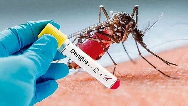 Dengue claims five more lives in Bangladesh as total infections surpass 28,000
