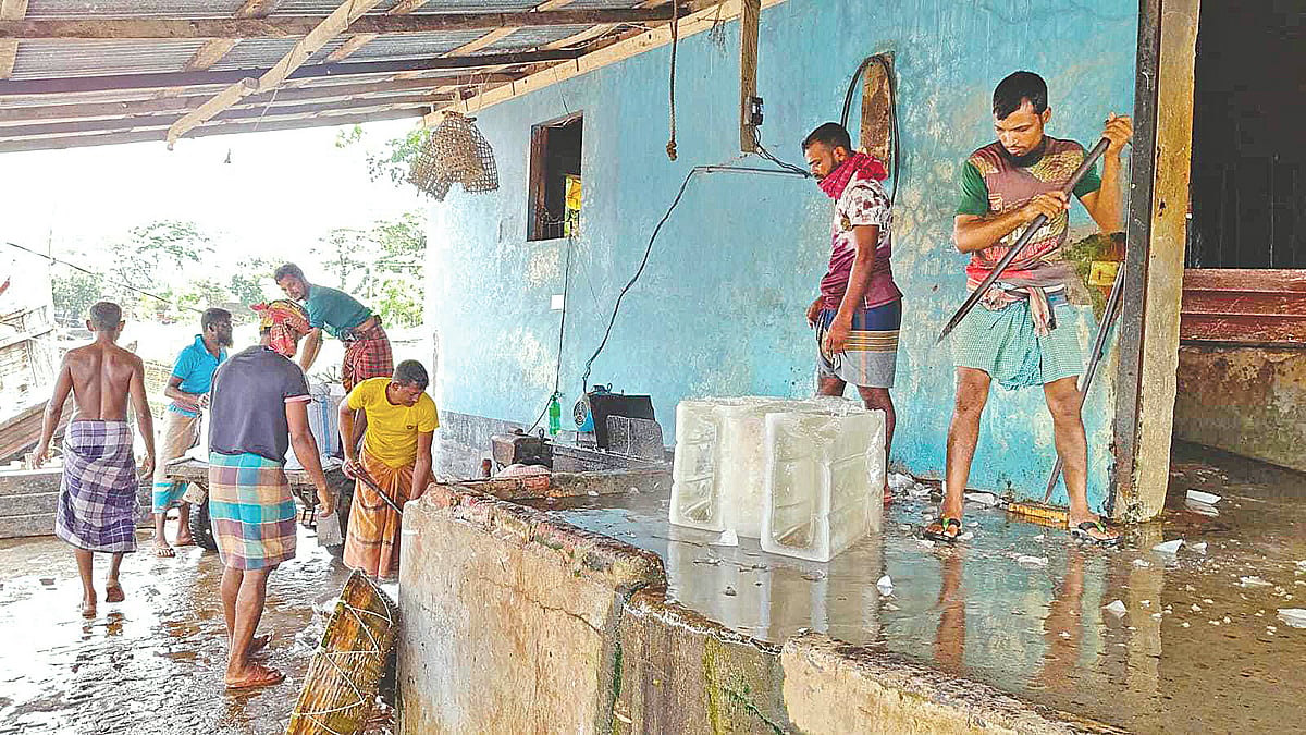 Power shortages cripple Patuakhali fishing industry as ice scarcity grounds hundreds of trawlers