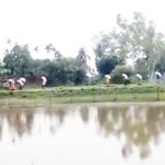 Farmers storm fertilizer warehouse in Kurigram over supply shortages