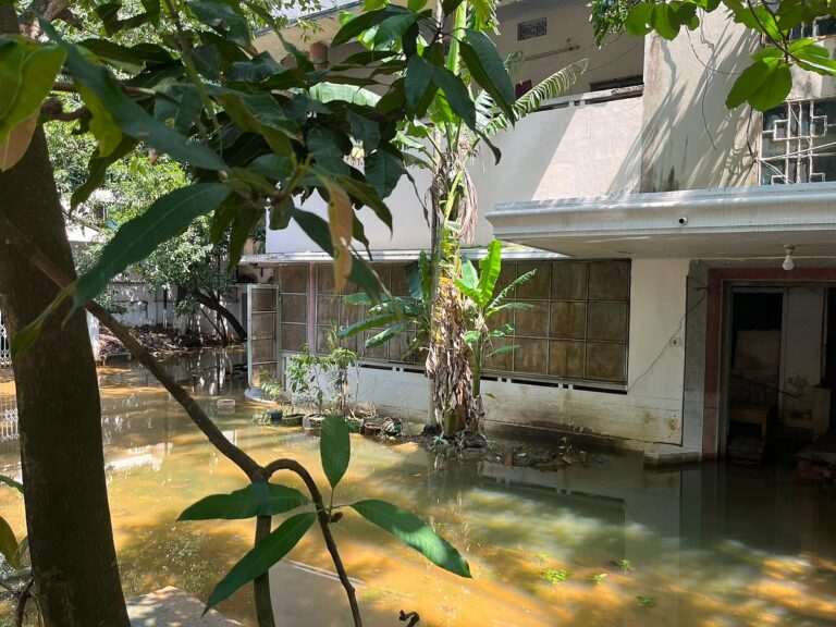 Chittagong City Corporation identifies 92 Aedes mosquito breeding sites including residence of former chief adviser Muhammad Yunus