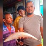 Two Large Hilsa Caught in Meghna River Sold for 15,000 Taka in Monpura