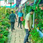 Exotic fruit trees drive 54 percent surge in sales at Khulna tree fair