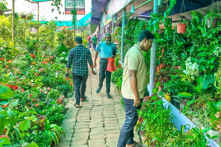 Exotic fruit trees drive 54 percent surge in sales at Khulna tree fair