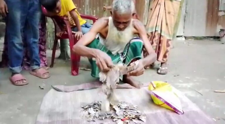 Elderly farmer in Gaibandha loses entire life savings to rodent damage