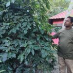 Law Ministry Official Plants Over 14,000 Trees Across Bangladesh in Dedication to Environmental Conservation