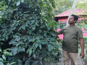Law Ministry Official Plants Over 14,000 Trees Across Bangladesh in Dedication to Environmental Conservation