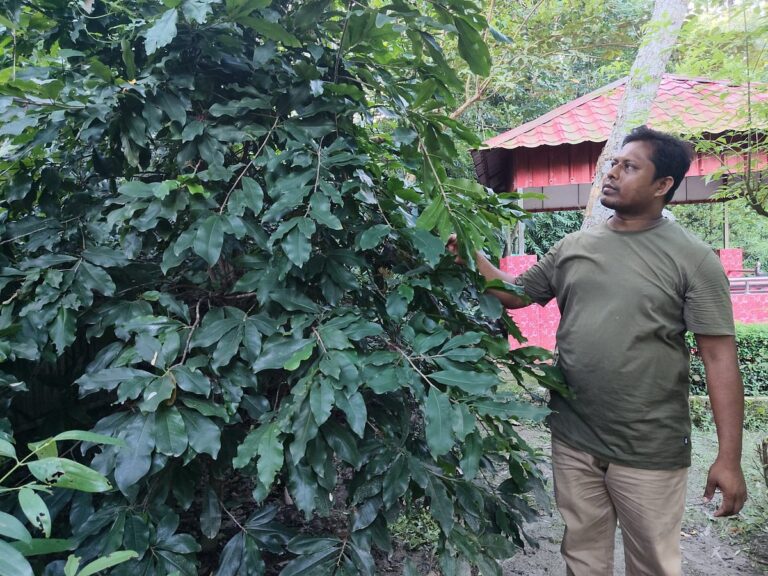 Law Ministry Official Plants Over 14,000 Trees Across Bangladesh in Dedication to Environmental Conservation