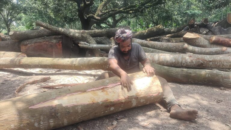 Visually impaired man defies adversity to support aging mother through manual labor