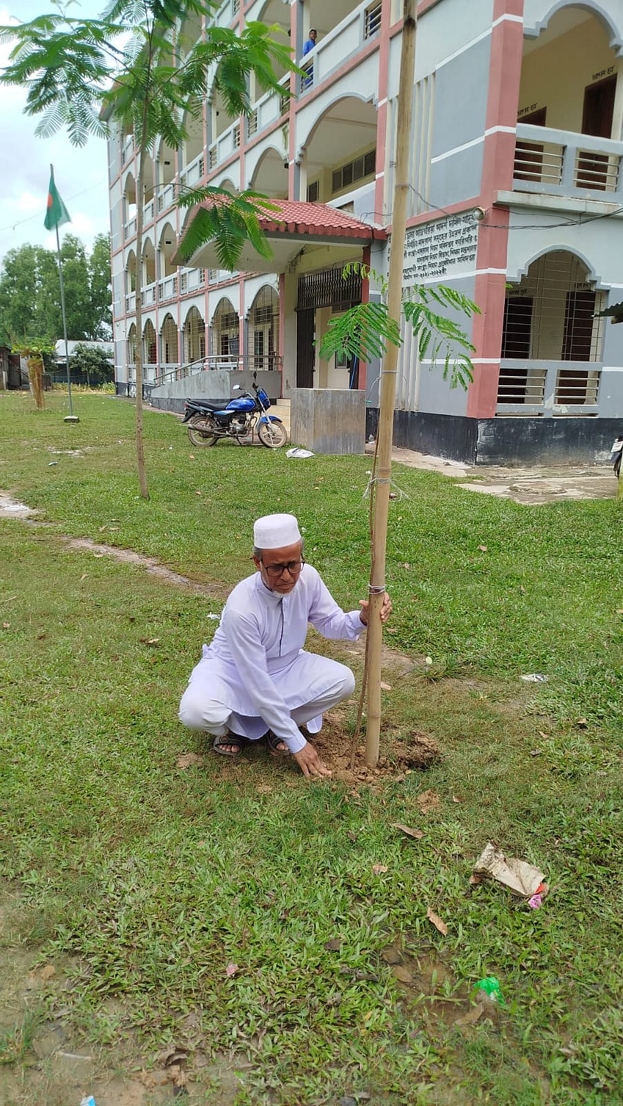 Retired teacher plants over one thousand Gulmohar trees to promote environmental conservation in Tangail