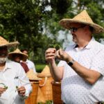 US Ambassador Peter Haas Tours Tea Gardens and Heritage Sites in Thakurgaon