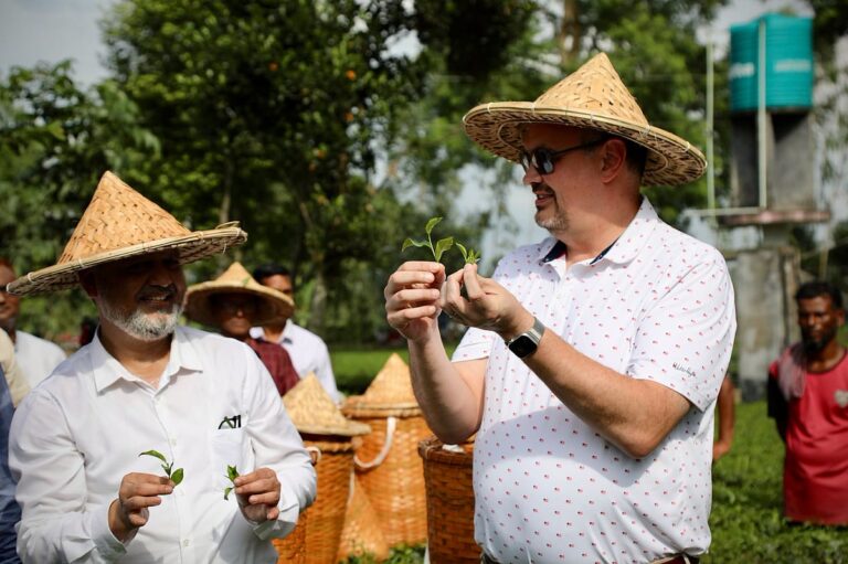 US Ambassador Peter Haas Tours Tea Gardens and Heritage Sites in Thakurgaon