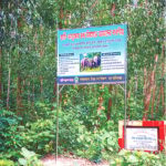 Shrinking Corridors Fuel Human-Elephant Conflict and Threaten Survival of Endangered Species in Bangladesh
