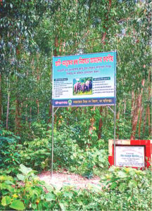 Shrinking Corridors Fuel Human-Elephant Conflict and Threaten Survival of Endangered Species in Bangladesh