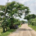 Naraile initiative honors liberation war history with memorial forest of 1971 trees