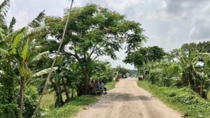 Naraile initiative honors liberation war history with memorial forest of 1971 trees