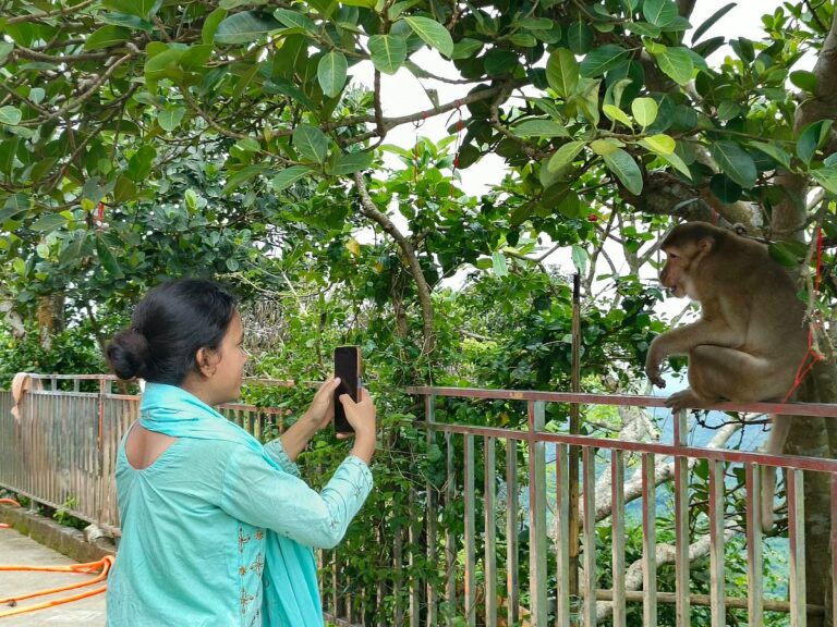 Food Shortages Drive Monkeys to Seek Sustenance from Pilgrims at Sitakunda Chandranath Temple