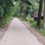 From Porachar to Dhaner Shish: How a Tragedy-Struck Noakhali Settlement Transformed into a Prosperous Agricultural Village