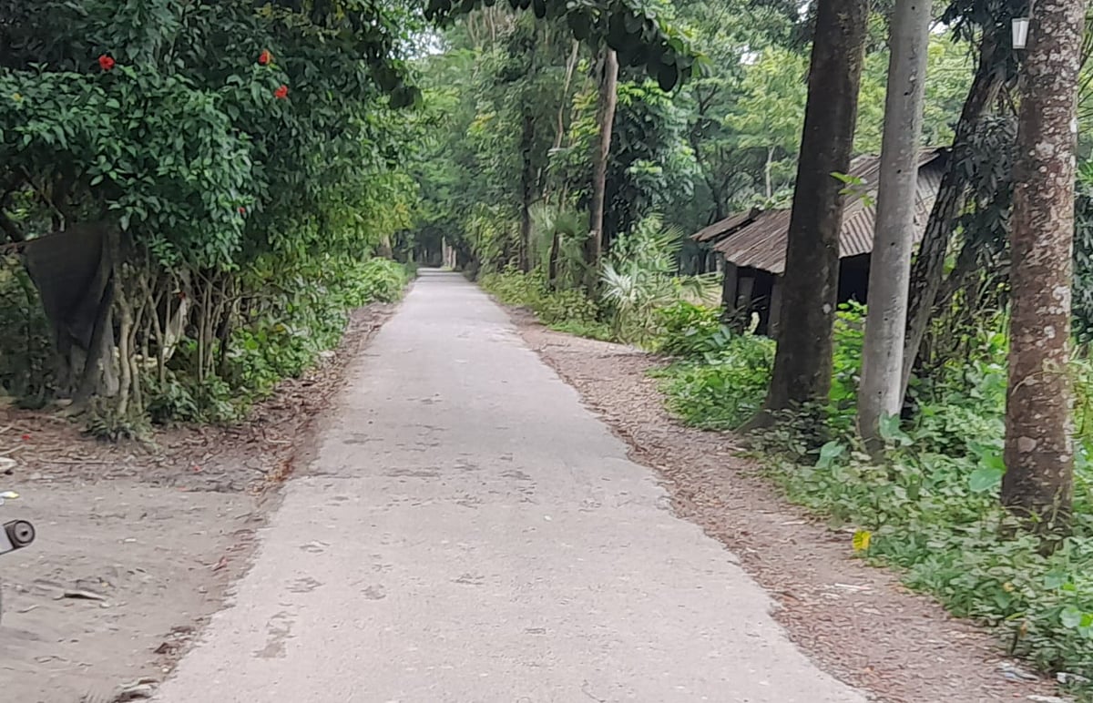From Porachar to Dhaner Shish: How a Tragedy-Struck Noakhali Settlement Transformed into a Prosperous Agricultural Village