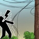 Father and son die from electrocution while irrigating paddy field in Gopalganj
