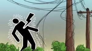 Father and son die from electrocution while irrigating paddy field in Gopalganj