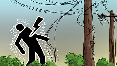 Father and son die from electrocution while irrigating paddy field in Gopalganj
