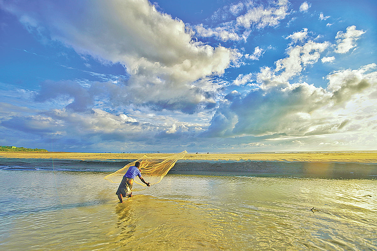 Nature welcomes autumn as changing season brings shifts in landscape and social atmosphere across Bangladesh