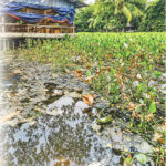 Poor planning by Patuakhali Water Development Board leaves 75,000 residents in nine villages facing chronic waterlogging and pollution