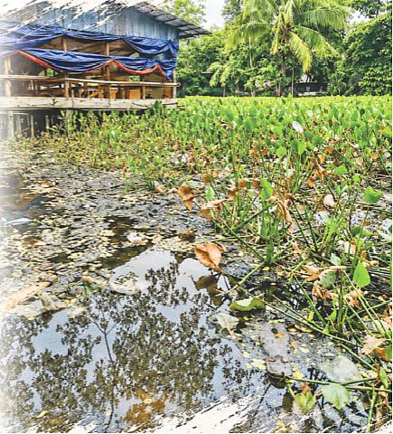 Poor planning by Patuakhali Water Development Board leaves 75,000 residents in nine villages facing chronic waterlogging and pollution
