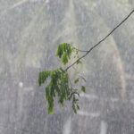 Depression in Bay of Bengal Triggers Weather Alerts Across Coastal Bangladesh