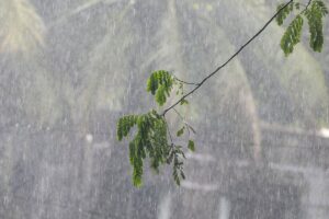 Depression in Bay of Bengal Triggers Weather Alerts Across Coastal Bangladesh