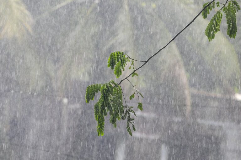 Depression in Bay of Bengal Triggers Weather Alerts Across Coastal Bangladesh