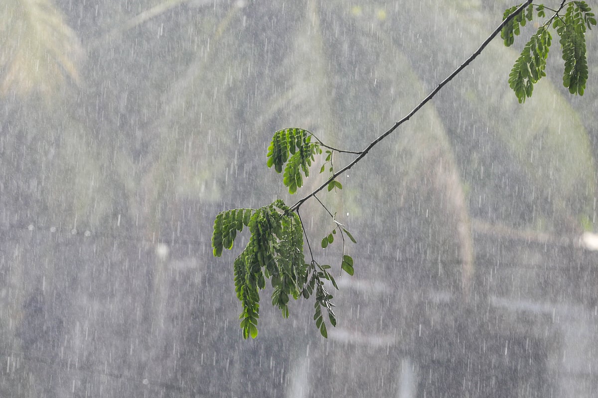 Depression in Bay of Bengal Triggers Weather Alerts Across Coastal Bangladesh