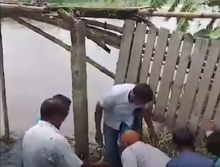 Lawmaker escapes injury as bamboo bridge collapses under officials in Nilphamari