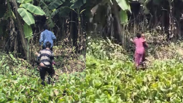 ঝিনাইদহ সীমান্তে চার অনুপ্রবেশকারীকে প্রতিহত করল বিজিবি