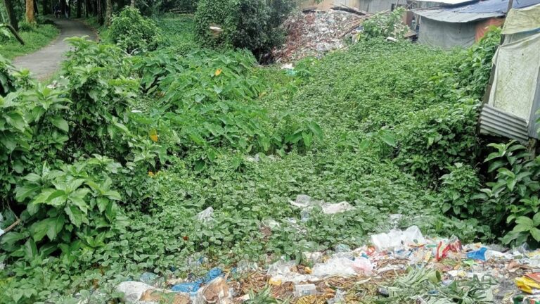 দুমকিতে বেদখল ও ভরাট দশ খাল অস্তিত্বের সংকটে ব্যাহত কৃষিকাজ