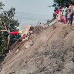 বগুড়ায় যমুনার ভয়াবহ ভাঙন, শহড়াবাড়ি বাঁধের ১০০ মিটার নদীগর্ভে বিলীন